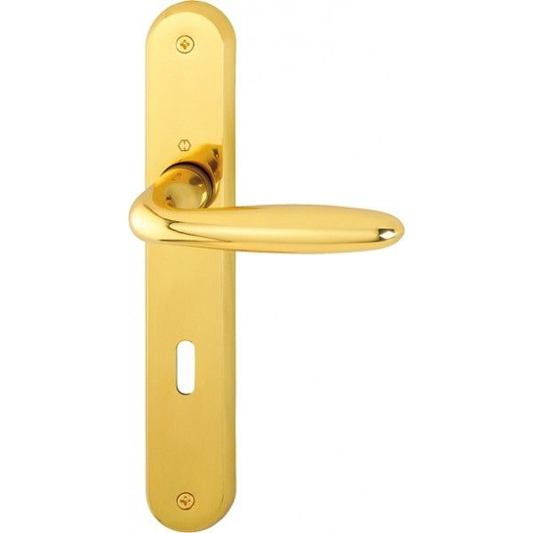 Door handle on plate -  Hoppe - Verona - M151/265