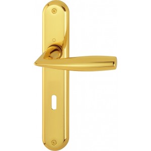 Maniglia per porta su placca - Hoppe Vitoria M1515/379 F71 oro lucido