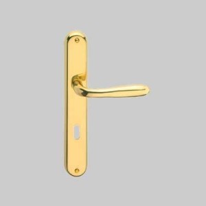 'GOCCIA' HANDLE WITH PLATE Satin chrome