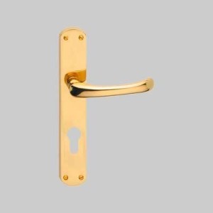 'CAPRI' HANDLE WITH YALE HOLE PLATE Polished gold