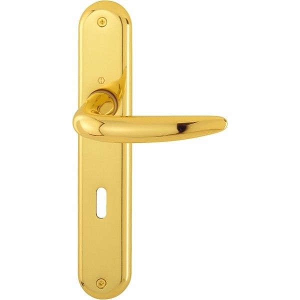 Door handle on plate Hoppe Atlanta M1530/379 F71 shiny gold